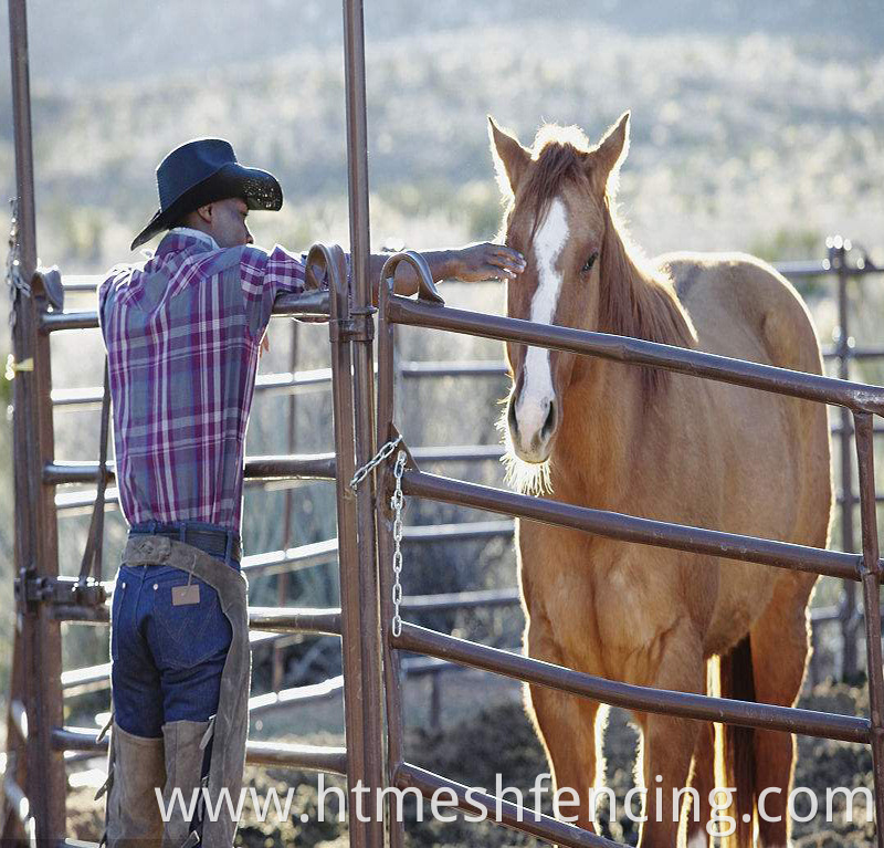 Newly designed popular high intensity extendable horse/cattle metal panels